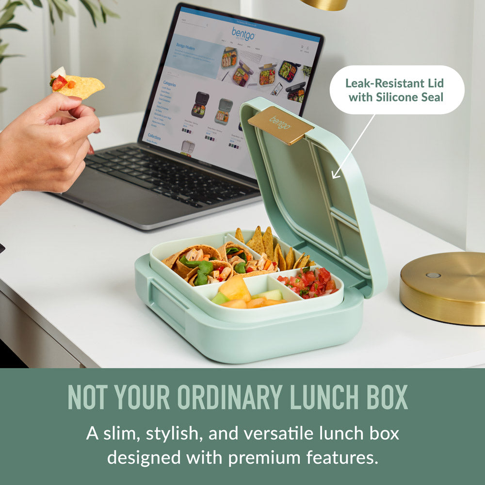 bentgo-modern-lunch-box-2-pack-q4 BGOMDN-MG_2_98ca6fcb-06f0-46cf-b72c-8f9c44372257.jpg