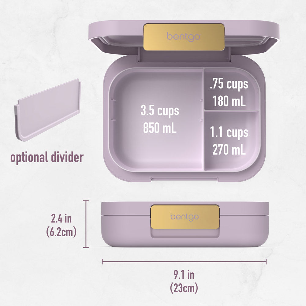 bentgo-modern-lunch-box-2-pack-q4 BGOMDN-O_6_d29933f0-ff4a-48c6-bdcc-6cbb45cc90b4.jpg