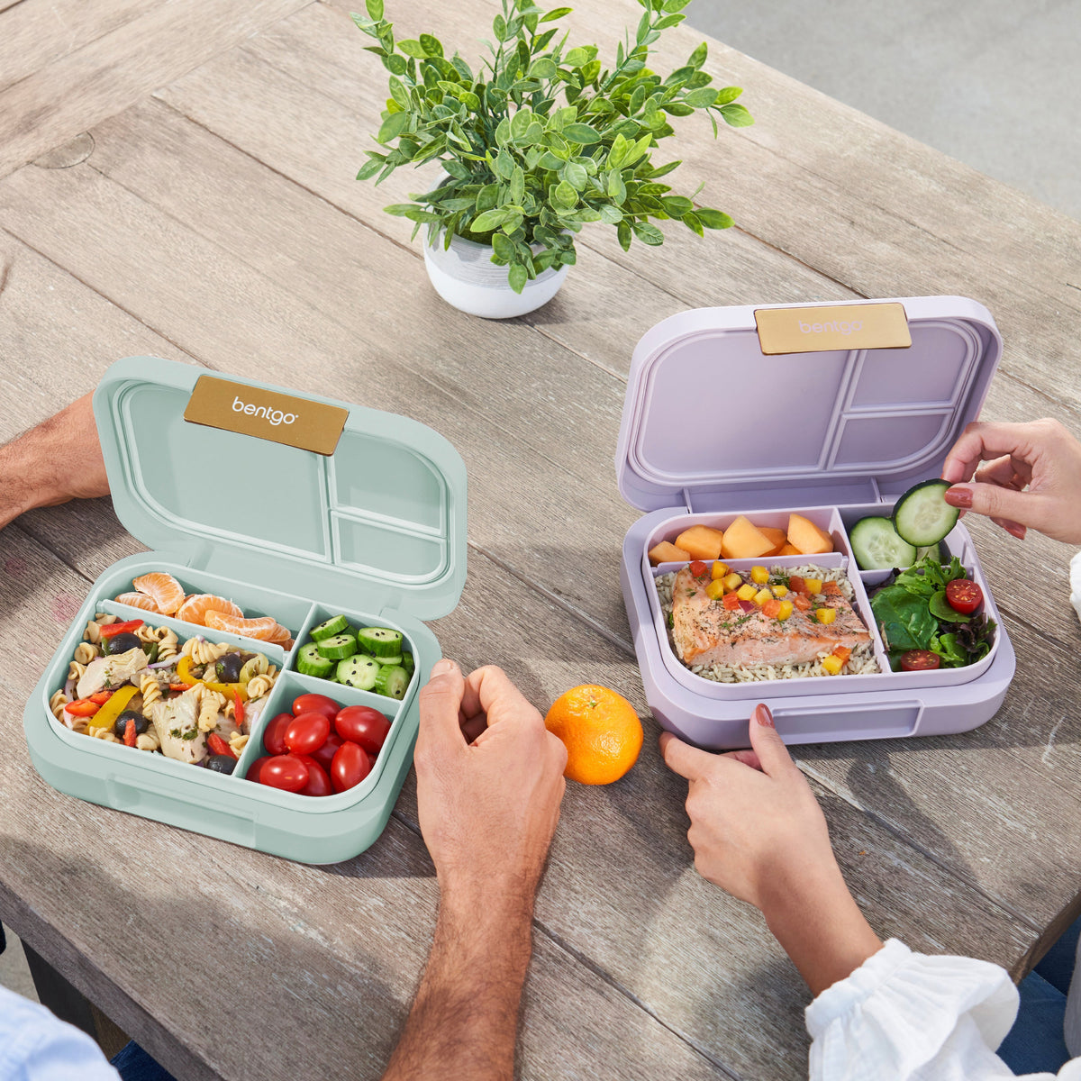bentgo-modern-lunch-box-2-pack-q4 COSTCOBMCPRODUCTIMAGE_2.jpg
